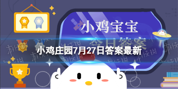 小鸡宝宝考考你人们常说的“陶”和“瓷”是同一种材质吗