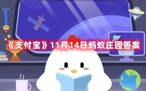 成语“鸠占鹊巢”中的“鹊”通常指的是什么