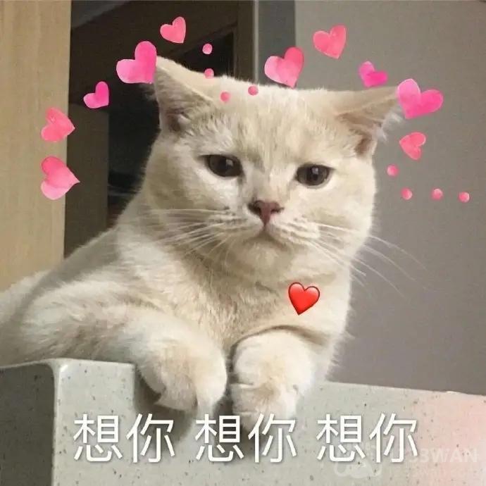 女孩子说的想do是什么意思网络用语-do什么梗
