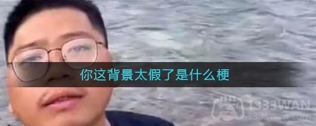 《抖音》你这背景太假了梗出处意思介绍