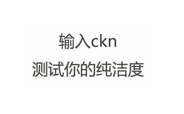 ckn输入法打出来意思介绍