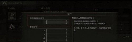 艾尔登法环怎么联机 最新联机教程