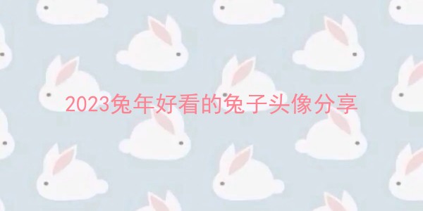 2023兔年好看的兔子头像分享