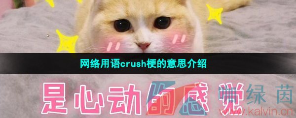 网络用语crush梗的意思介绍