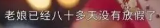 老娘八十多天没放假了是什么意思