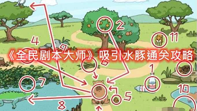 全民剧本大师吸引水豚通关攻略