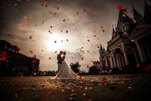 双腿被绑成M型调教play 冷少冷少辰把童若放在钢琴上