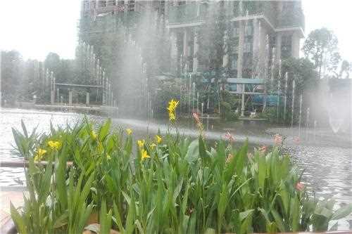 男娃jy灌溉系统 以性为主的世界短文